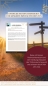 Preview: Tarot-Jahreslesung 2025 Preview: Tarot-Jahreslesung 2025